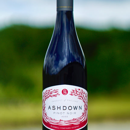 Ashdown Pinot Noir 2022
